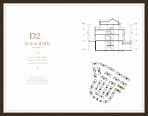 D2